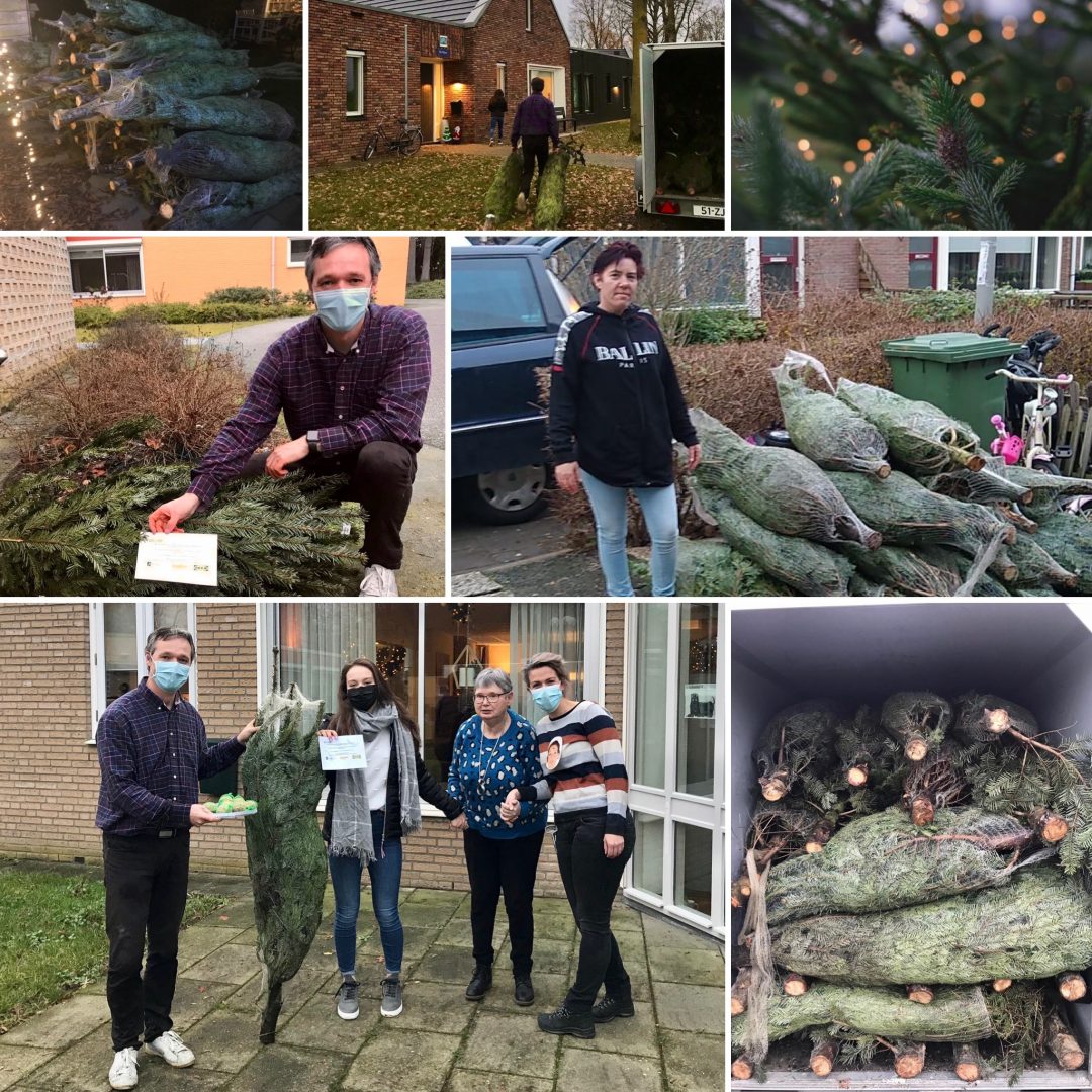 Kerstbomen actie van IKEA