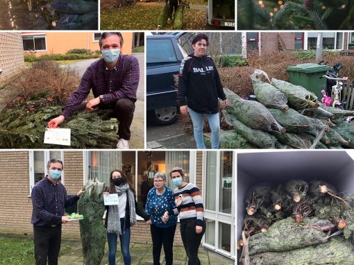 Kerstbomen actie van IKEA