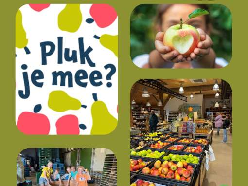 Doe mee met De Laatste Pluk! Als fruitteler, bedrijf of vrijwilliger op 26-9-2025